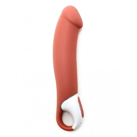 Перезаряжаемый вибратор Satisfyer Vibes Master - 23,5 см.